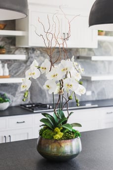 White faux orchid arrangement
