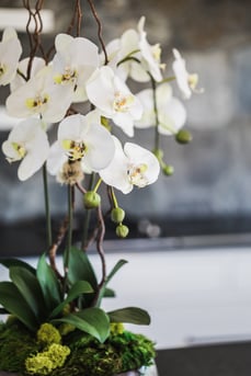 White orchid faux arrangement