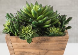 Faux arrangement with succulents