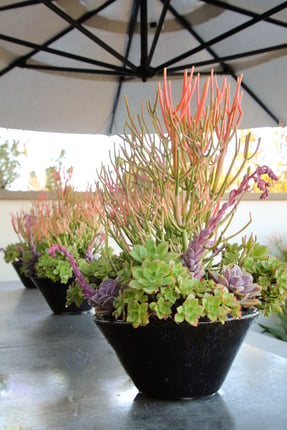 Ceramic table planter